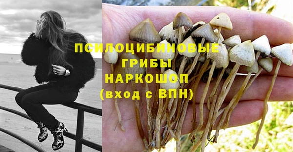 сатива Алзамай