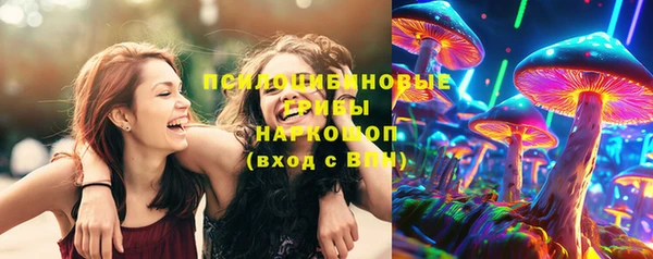 бошки Алексеевка