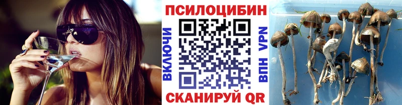 Псилоцибиновые грибы мухоморы  наркотики  Сураж 